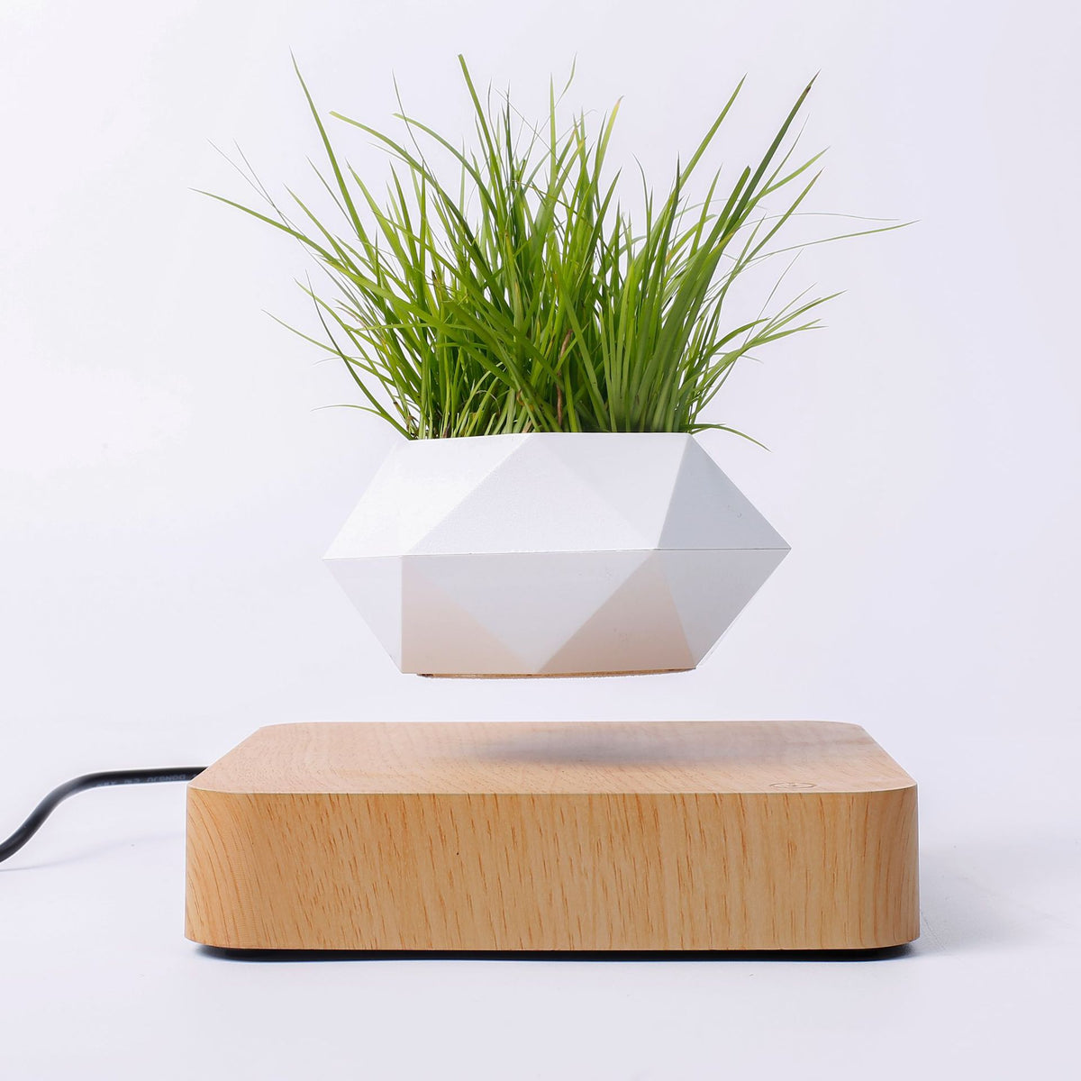 Magnetic Levitating Plant Pot Stand — Floating Rotating Wood-Grain Base for Bonsai & Succulents (Plant Not Included)