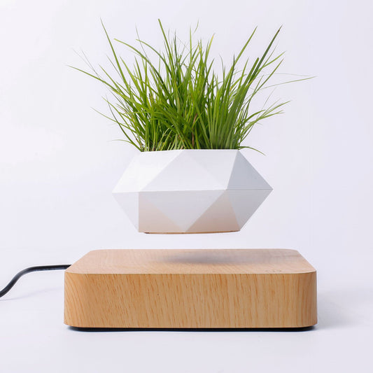Magnetic Levitating Plant Pot Stand — Floating Rotating Wood-Grain Base for Bonsai & Succulents (Plant Not Included)